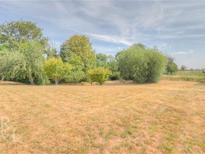 Picture 27
